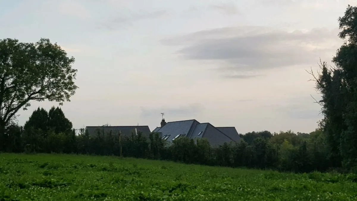 Digger Services - Mulching and Tree Shearing - Image 3