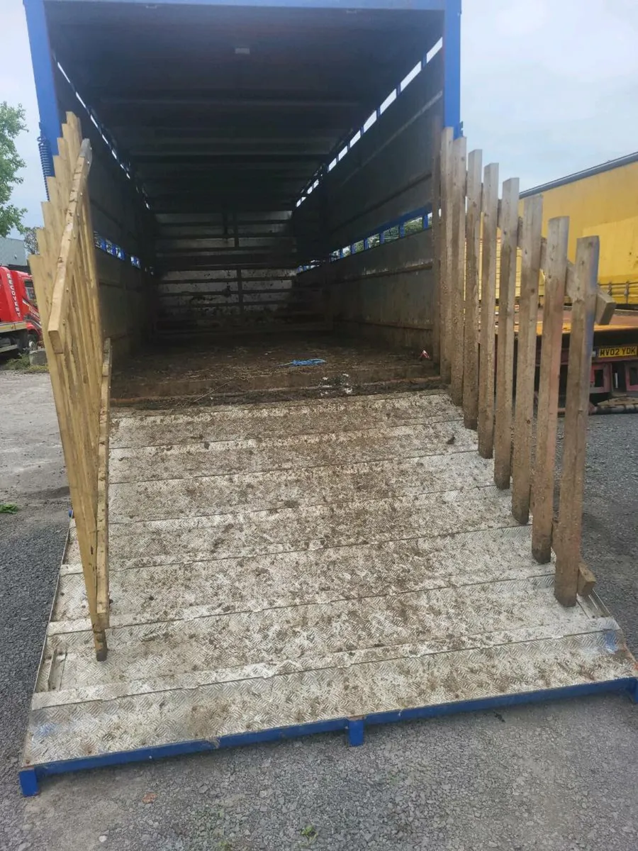 Daf cattle lorry 2014 - Image 3