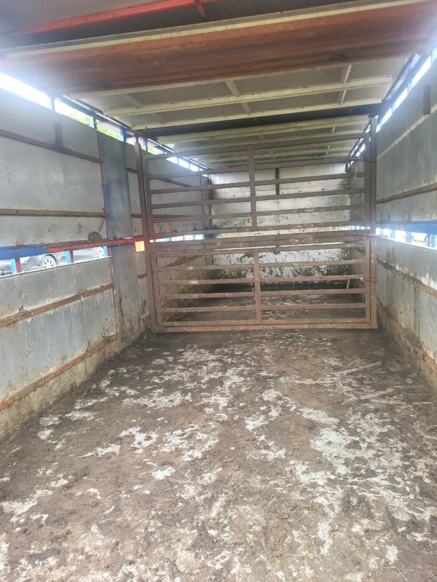 Daf cattle lorry 2014 - Image 4