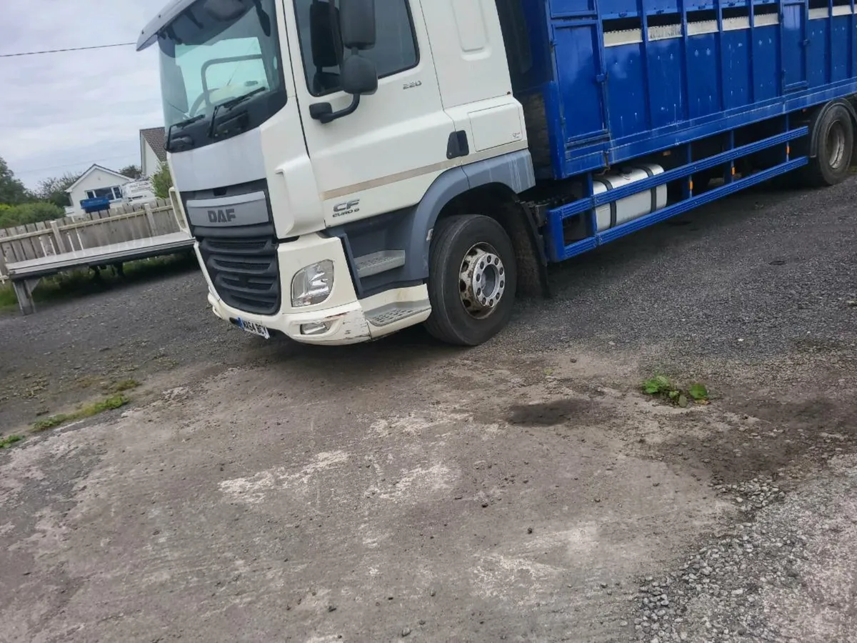 Daf cattle lorry 2014 - Image 2