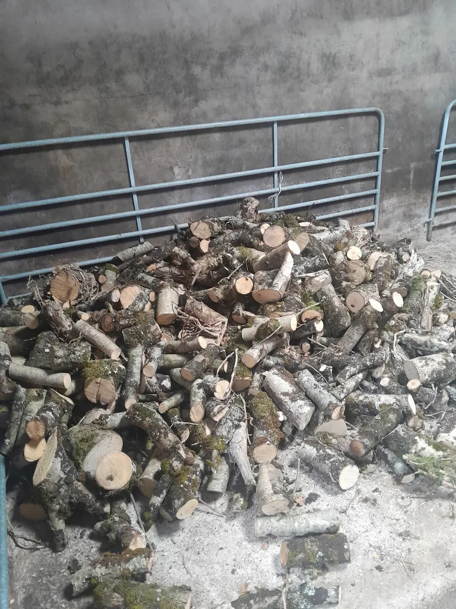 Firewood - Image 3