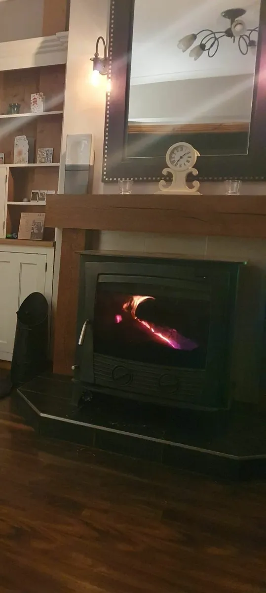 Henley Druid Boiler Stove 30Kw - Image 1