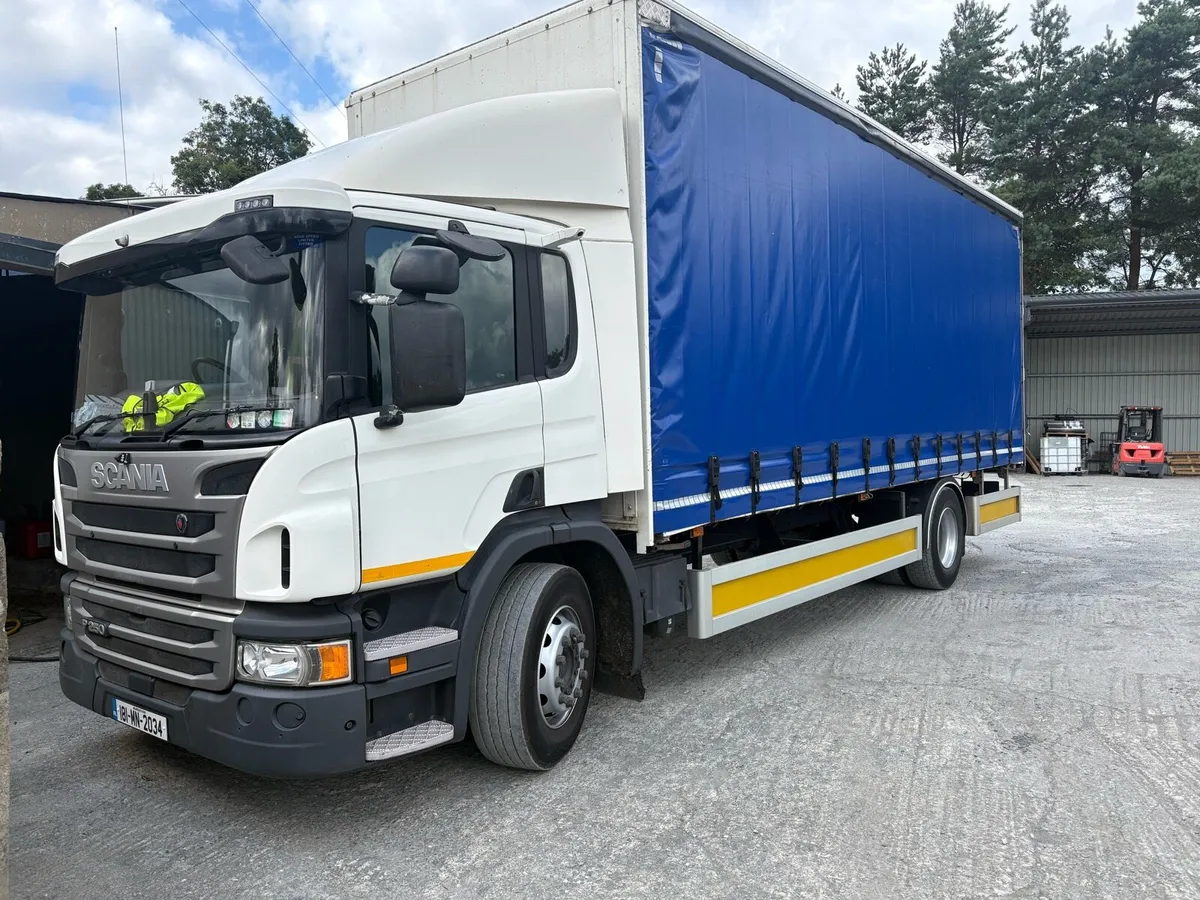 Scaina Rigid - Image 2