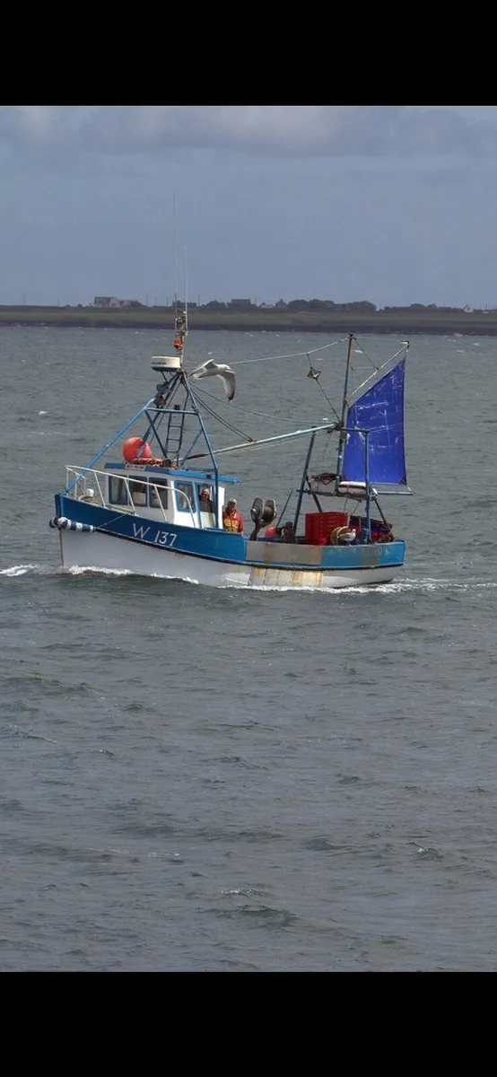 Boat For Sale - Image 2