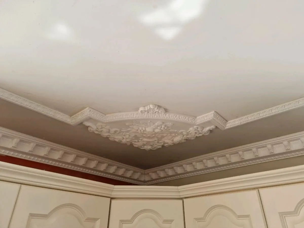 Coving, mouldings, ceiling roses, pilasters - Image 3