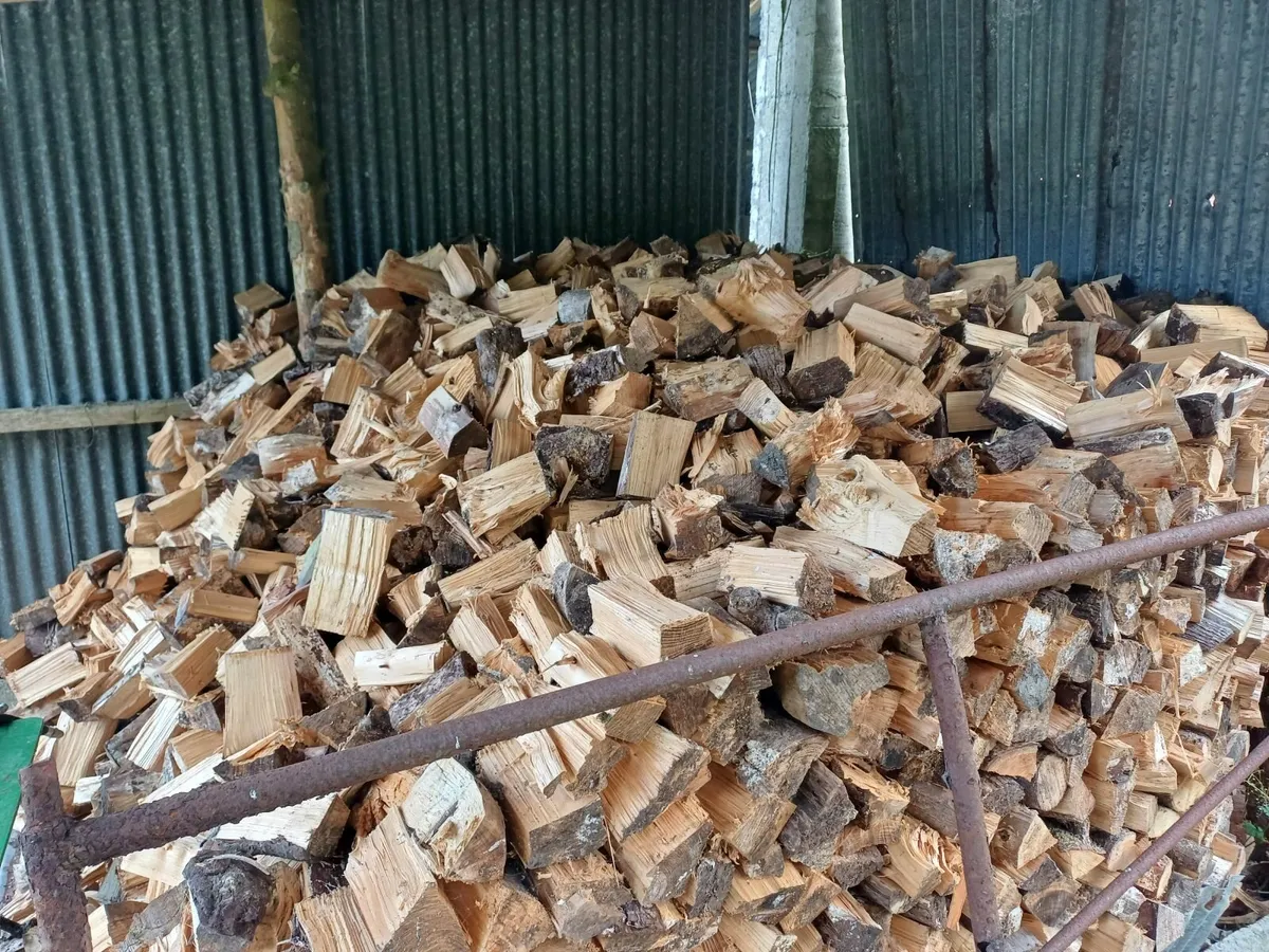 Firewood - Image 1