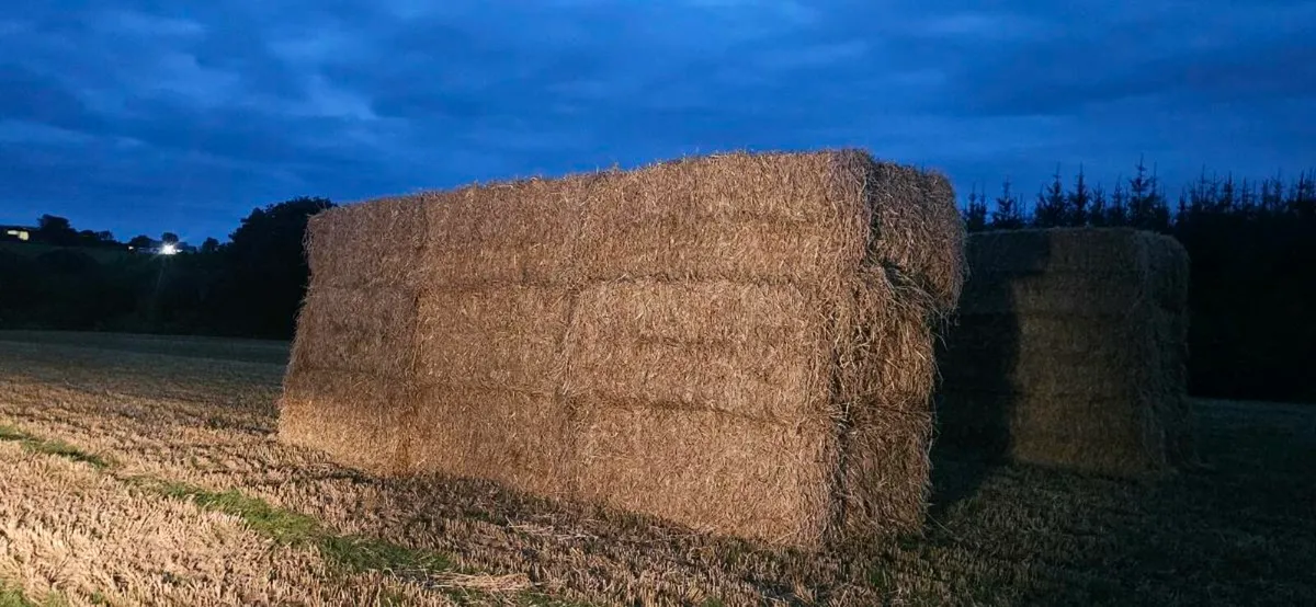 8×4×3 square bales - Image 1