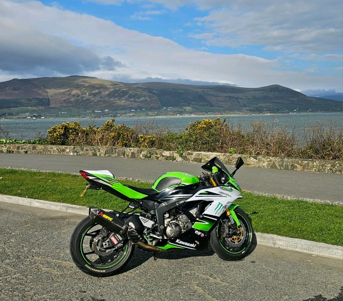 Kawasaki ZX6R 2016 EFFA 30th Anniversary edition - Image 2