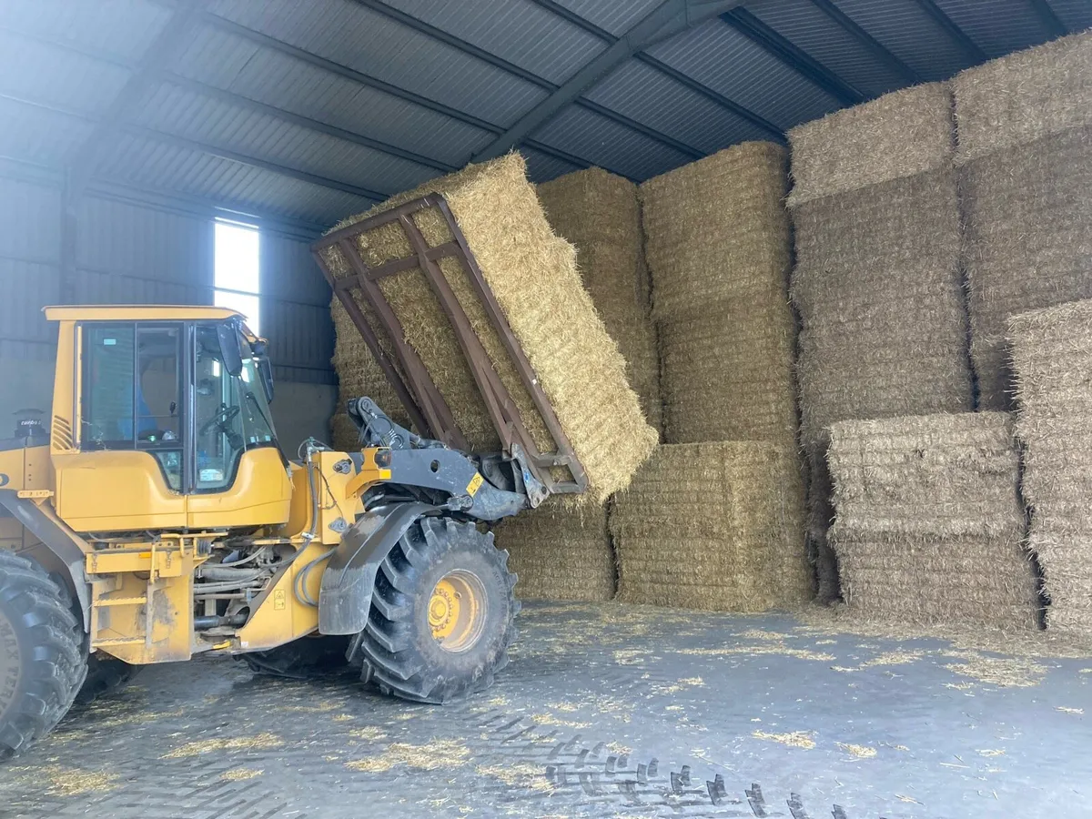 Fine Chopped Wheaten & Barley Straw - Image 4