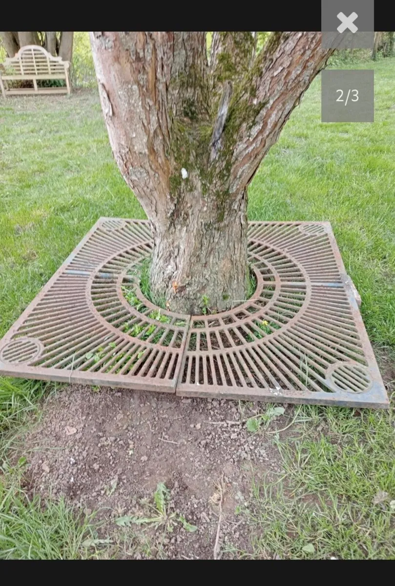 Cast iron tree surround - Image 1