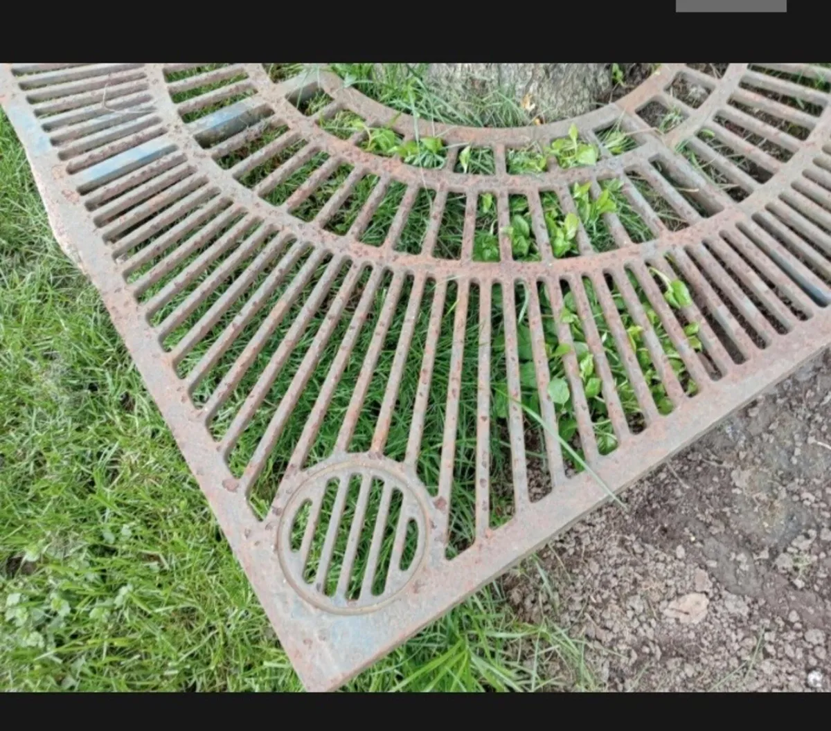 Cast iron tree surround - Image 2