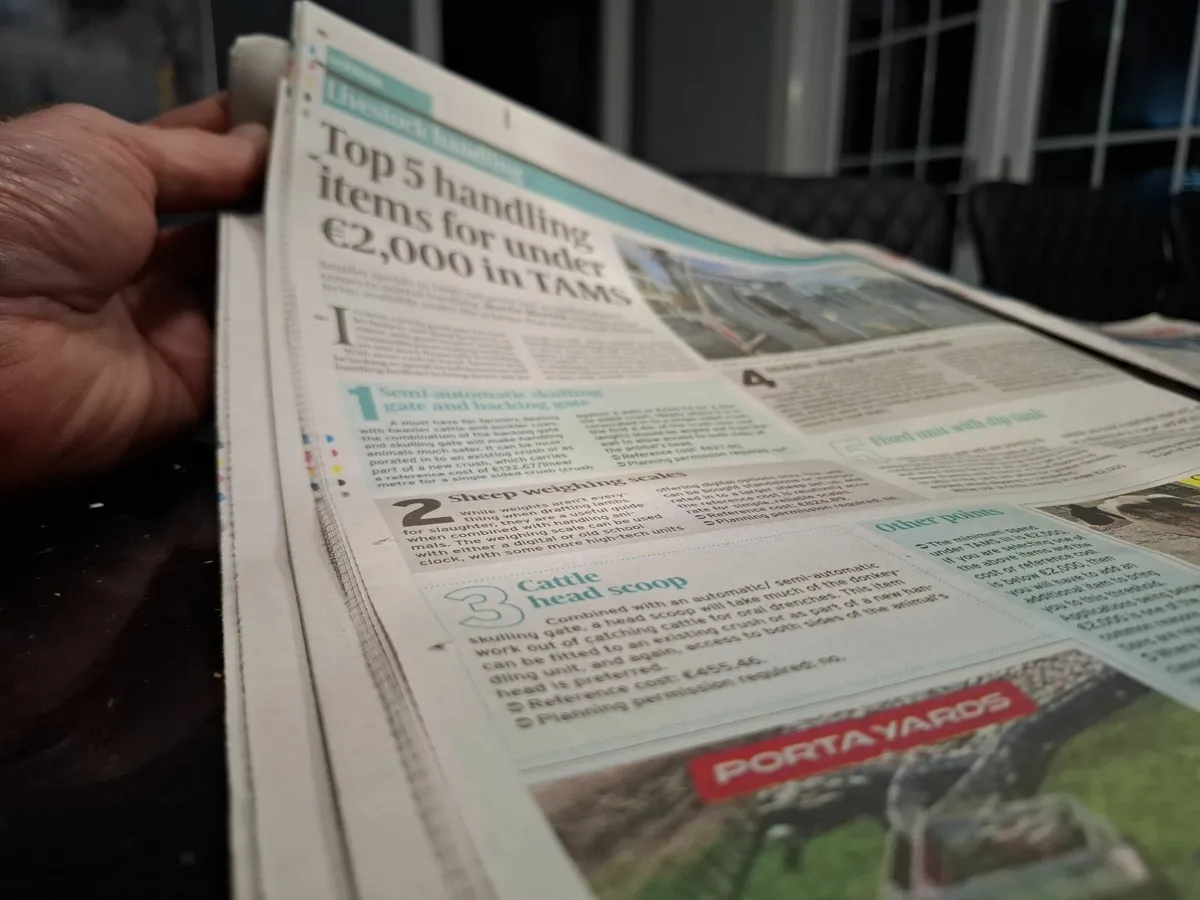 10ft x 3ft Footbath, for TAMS 3 grant. - Image 4