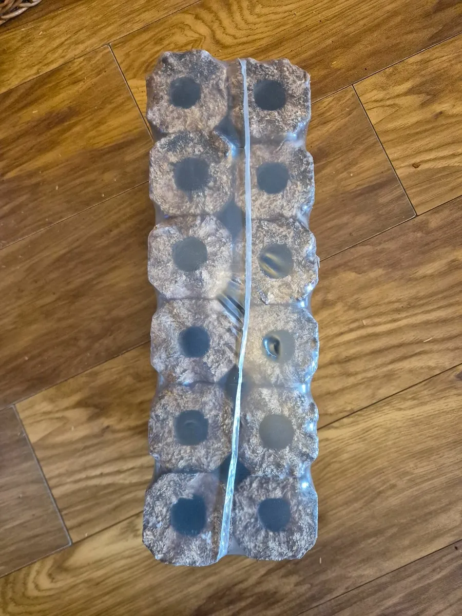 Pinikay Eco 12pk Log Briquettes 10kg Free Delivery - Image 3