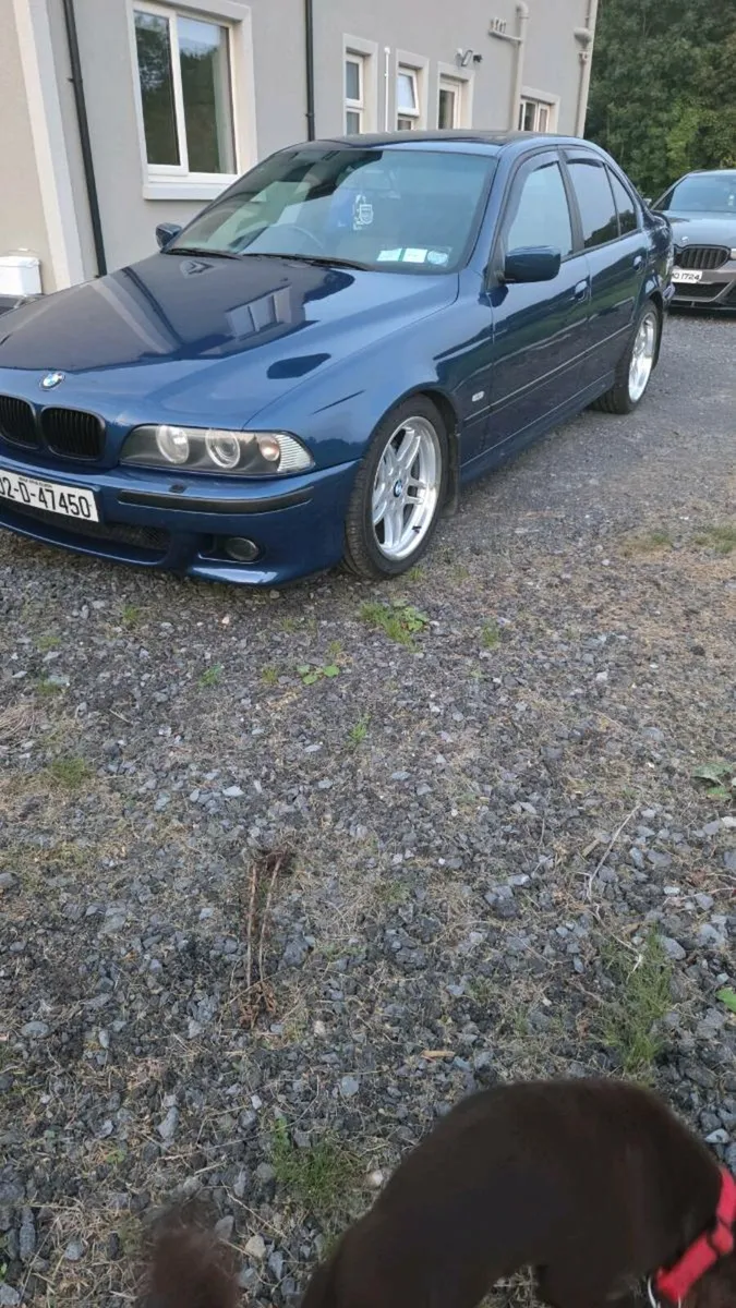 Bmw e39 530d - Image 2