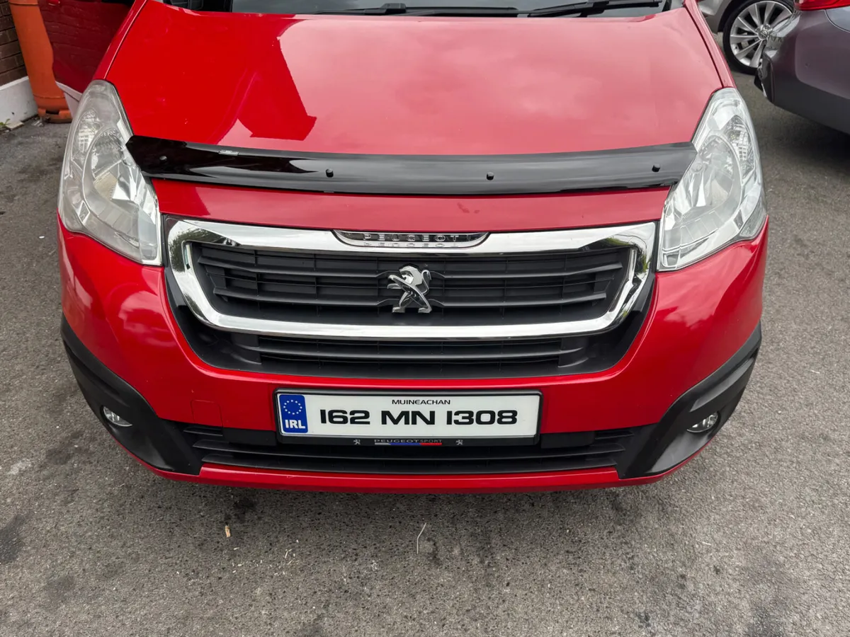 Tinted bonnet protectors - Image 1