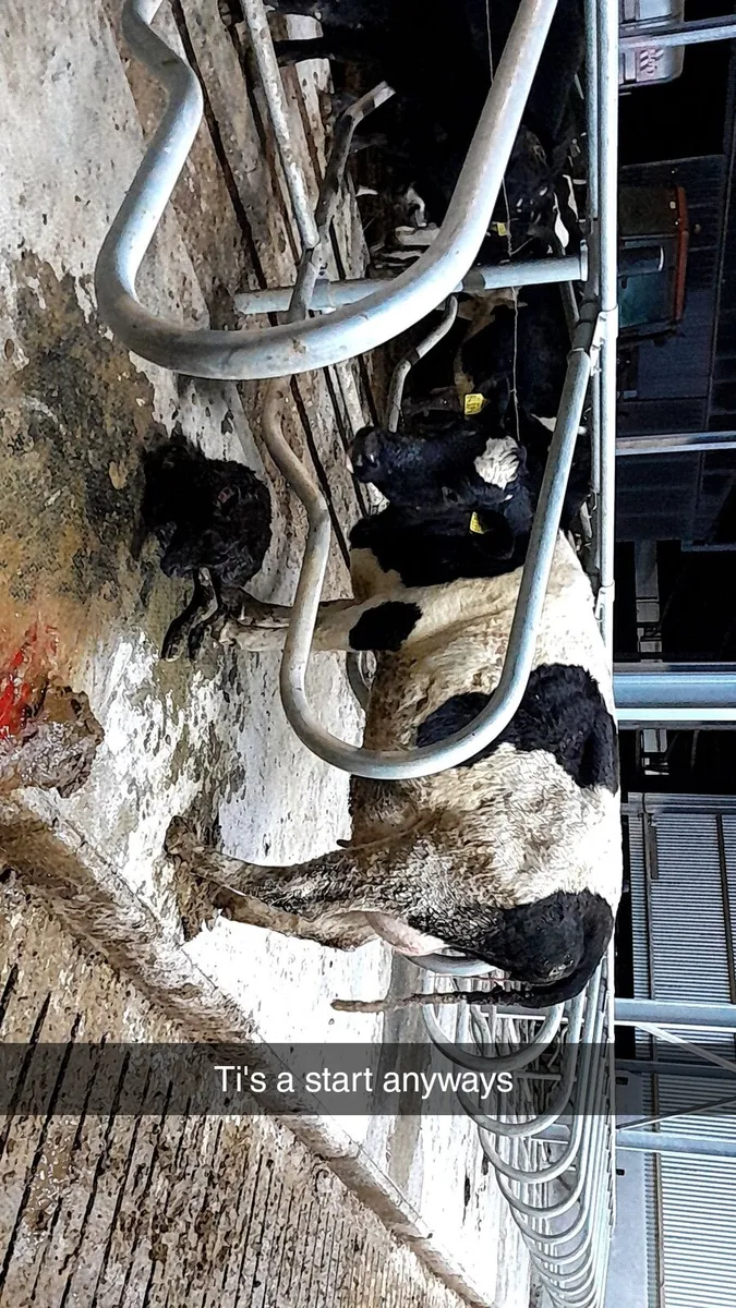 Scanning services - Image 2