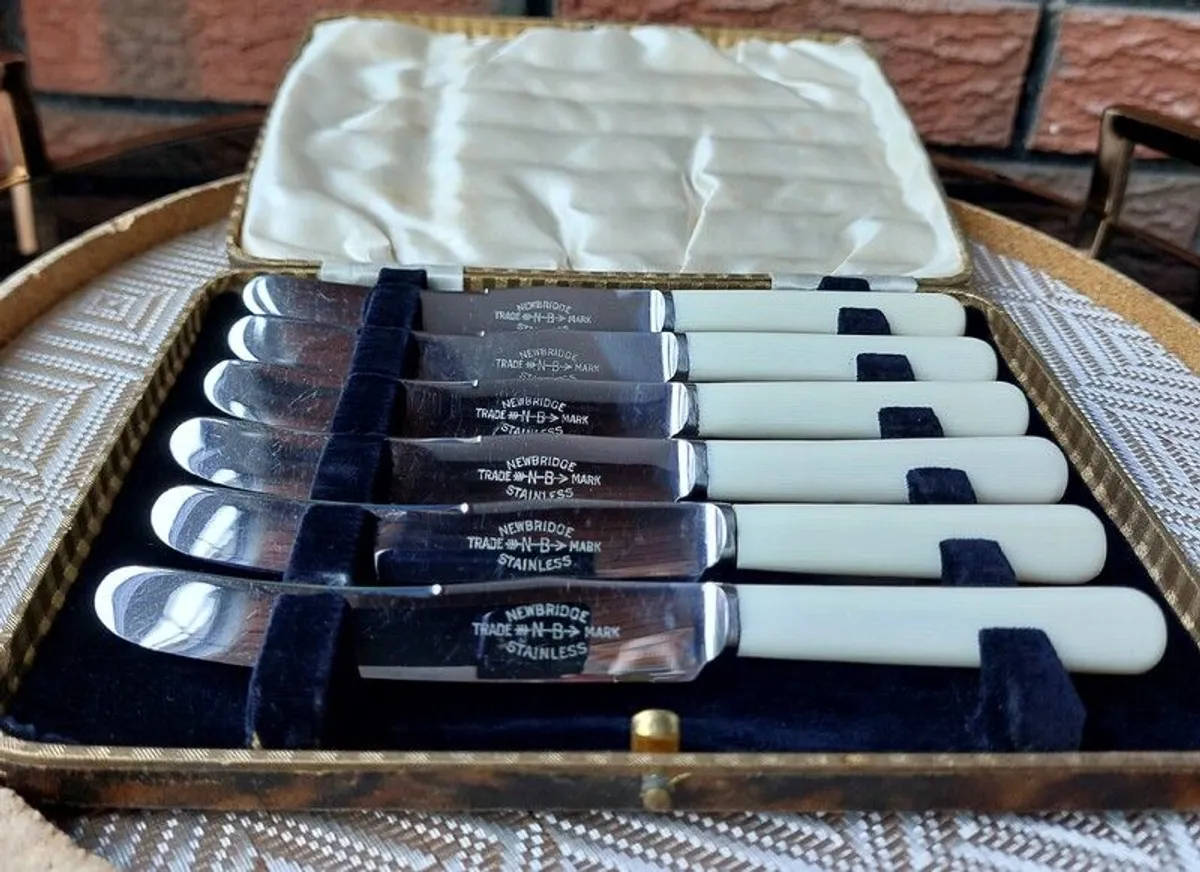 Vintage Boxed Set Of Newbridge Butter Knives x 6 - Image 1