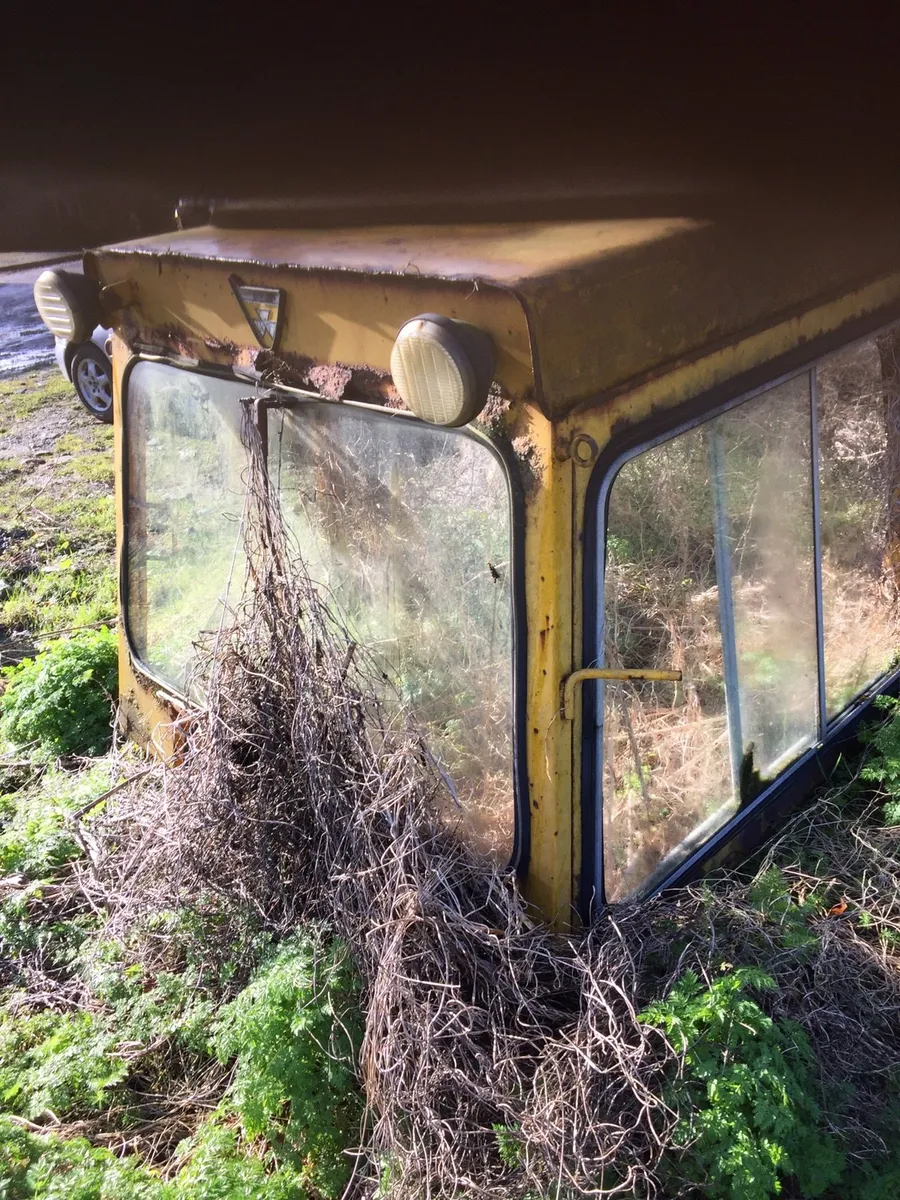 Yard clear out. - Image 4