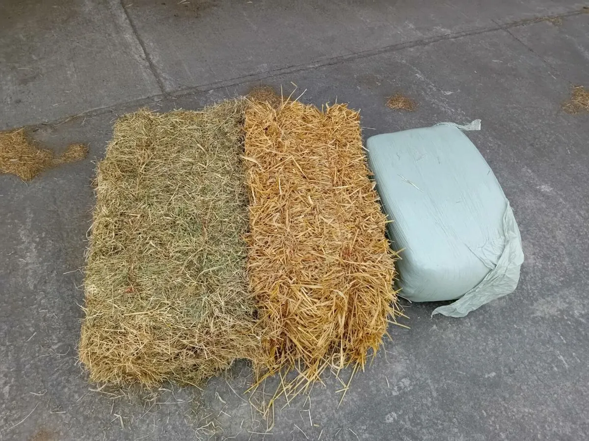 Hay, straw and haylage small square bales - Image 1