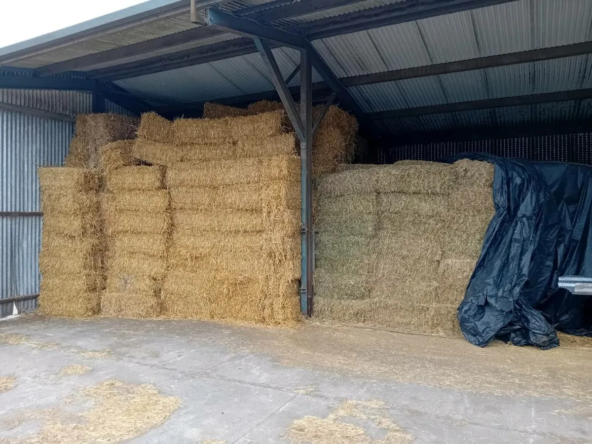 Hay, straw and haylage small square bales - Image 2