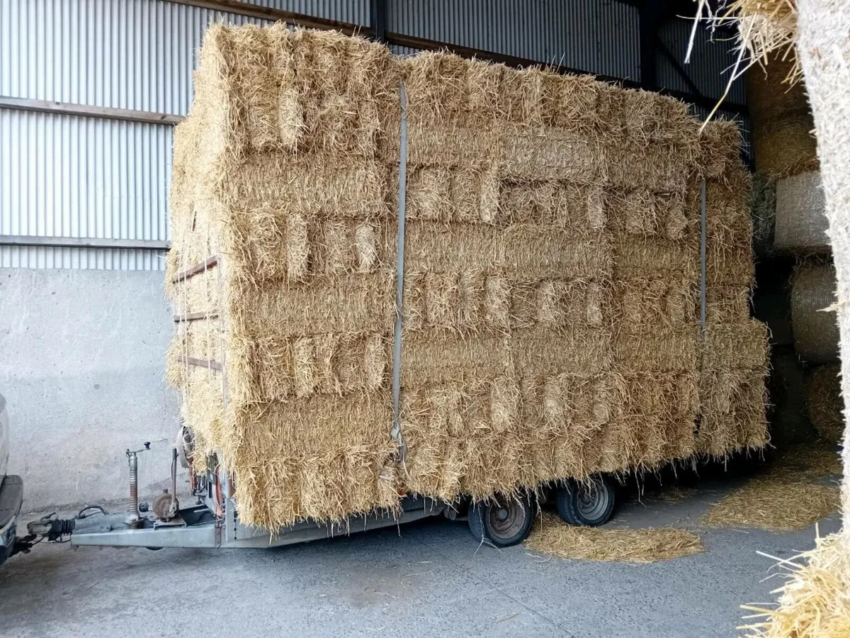 Hay, straw and haylage small square bales - Image 4