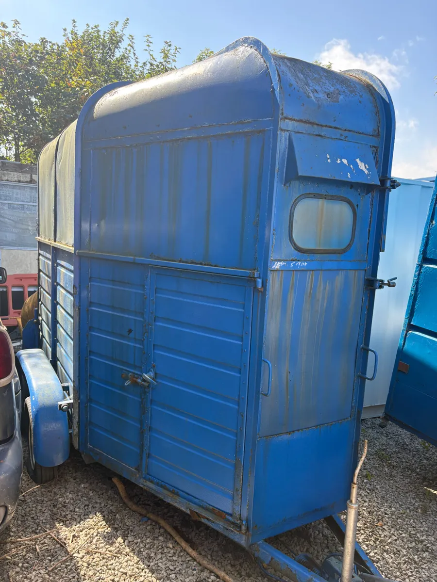 Rice horse box - Image 2