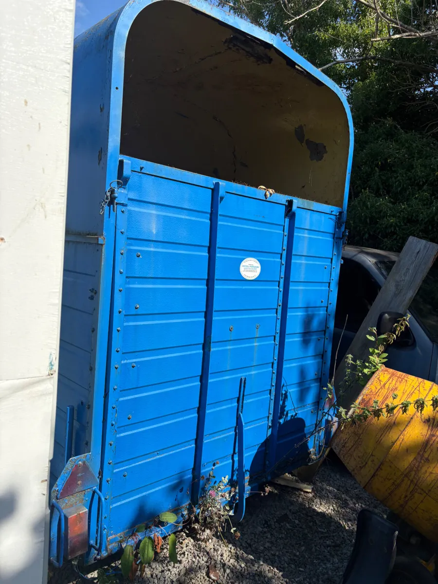 Rice horse box - Image 4