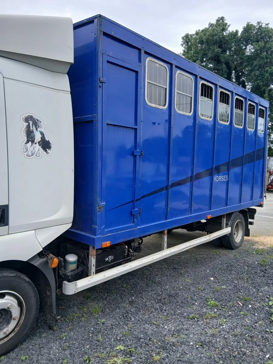 Renault  7.5ton horse truck...stalled for 5..... - Image 3