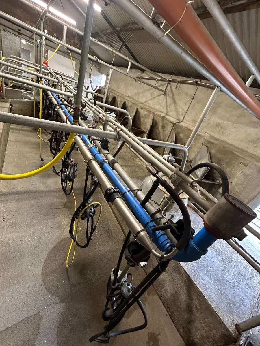Milking Parlour - Image 2