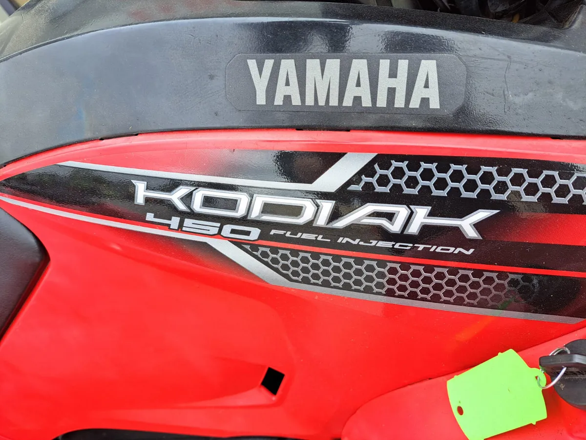 Yamaha Kodiak 450 - Image 4
