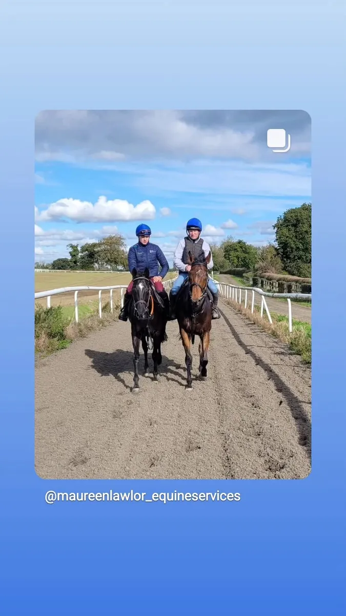 Breaking and pre training - Image 1