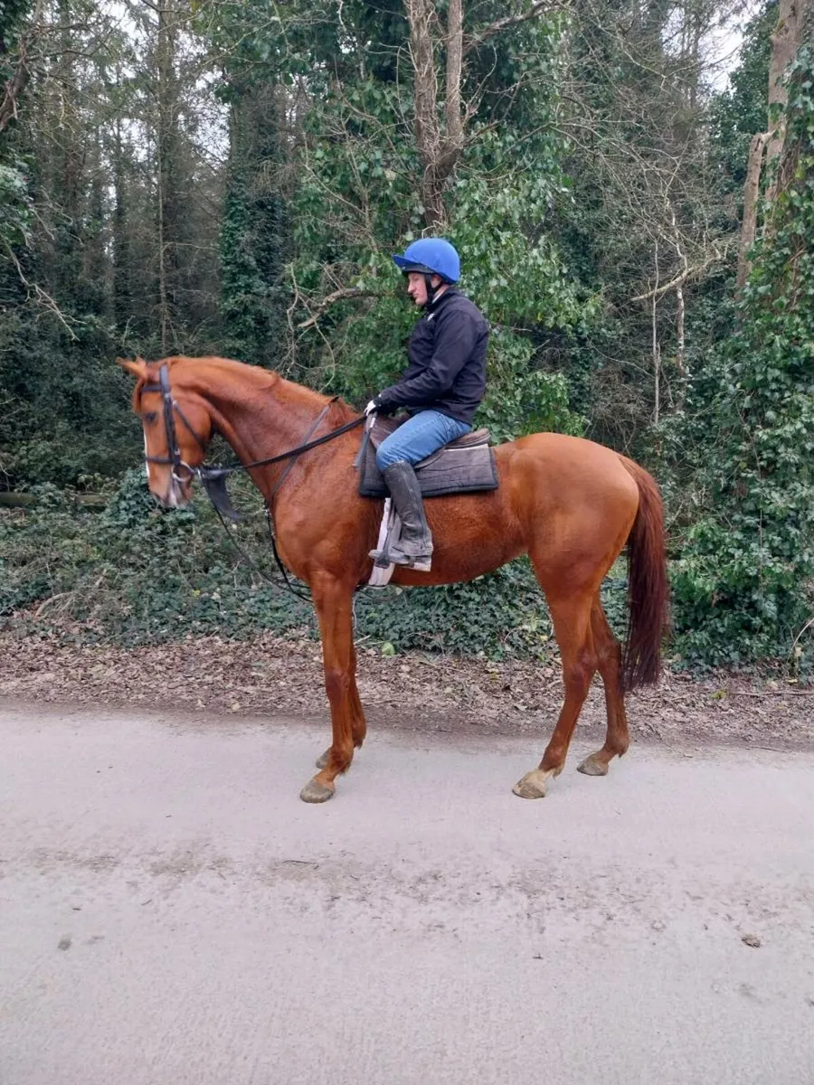 Breaking and pre training - Image 4