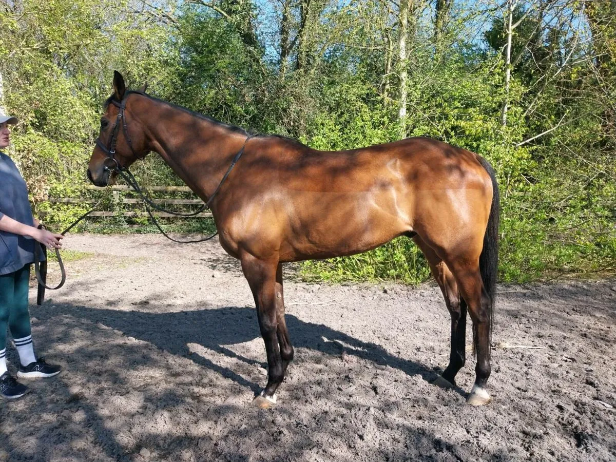 Breaking and pre training - Image 3