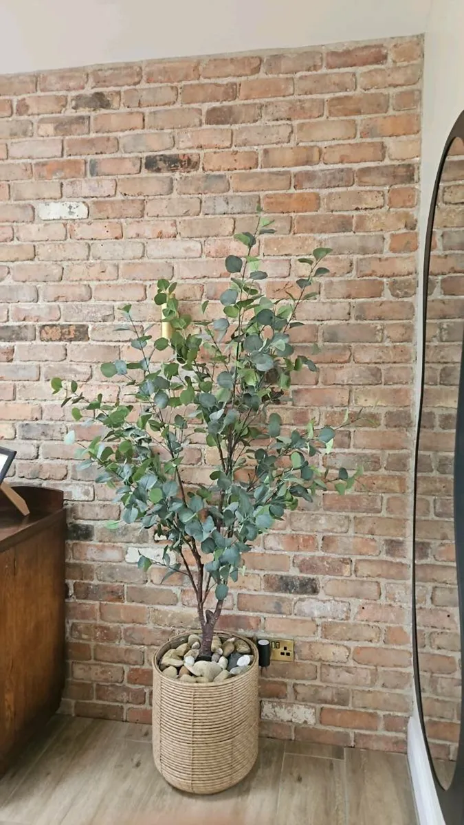 Belfast Brick - Image 4