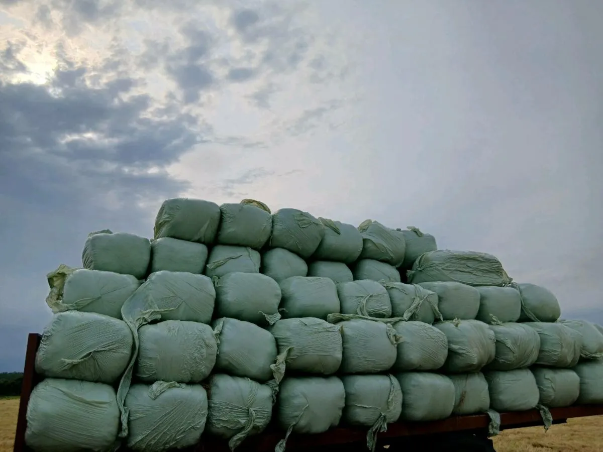 Haylage - Image 1
