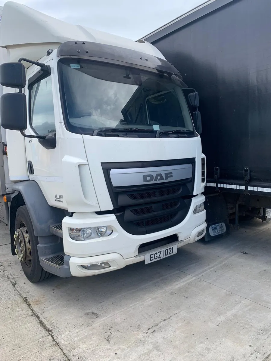 December 2016 DAF LF 55 250 - Image 3