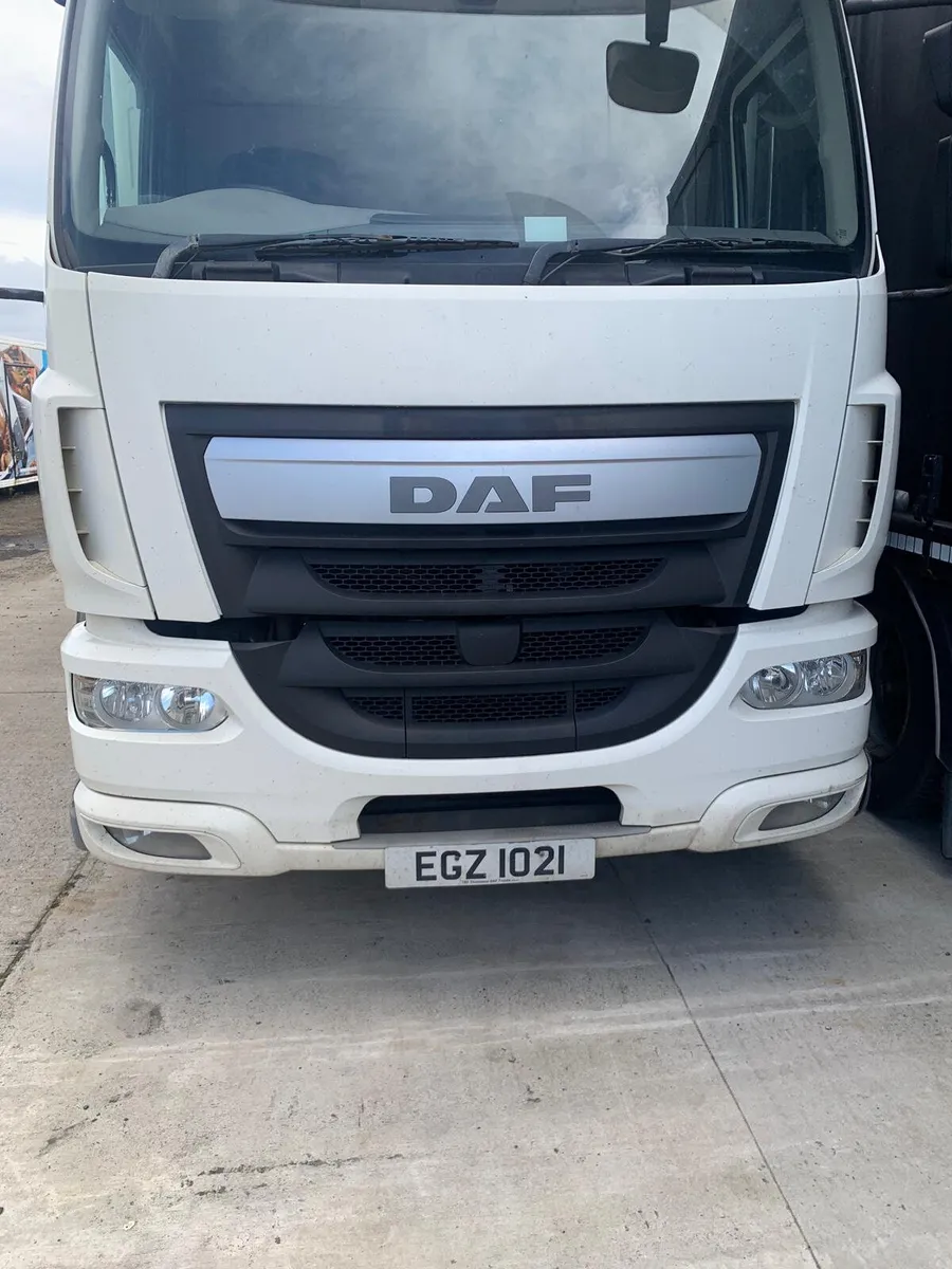 December 2016 DAF LF 55 250 - Image 1