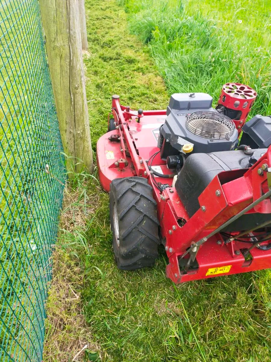Lawn mower - Image 1