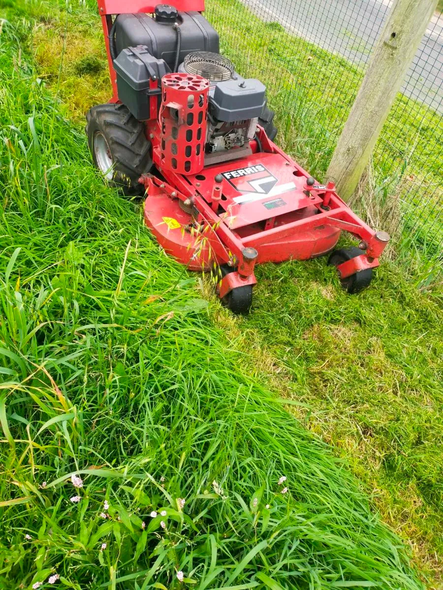 Lawn mower - Image 2