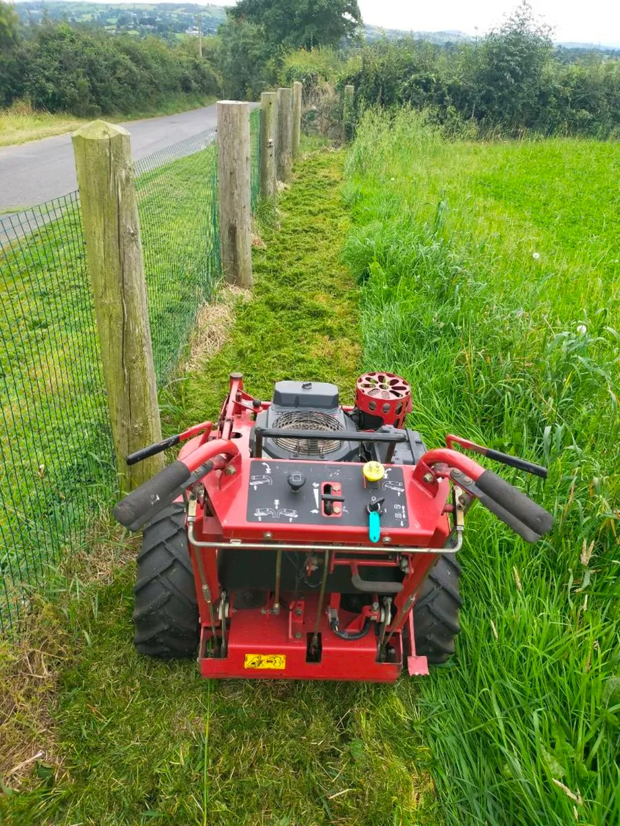 Lawn mower - Image 4