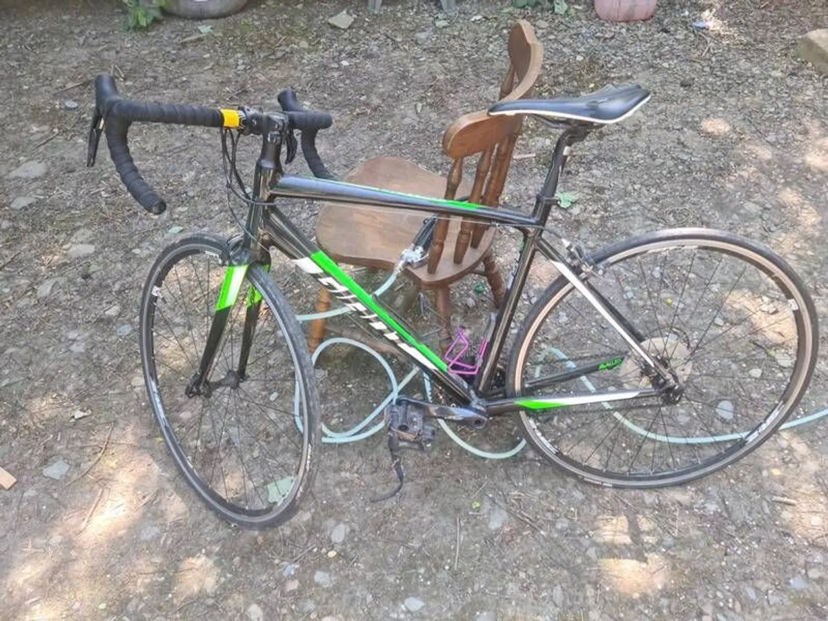 Giant Contend - Image 1