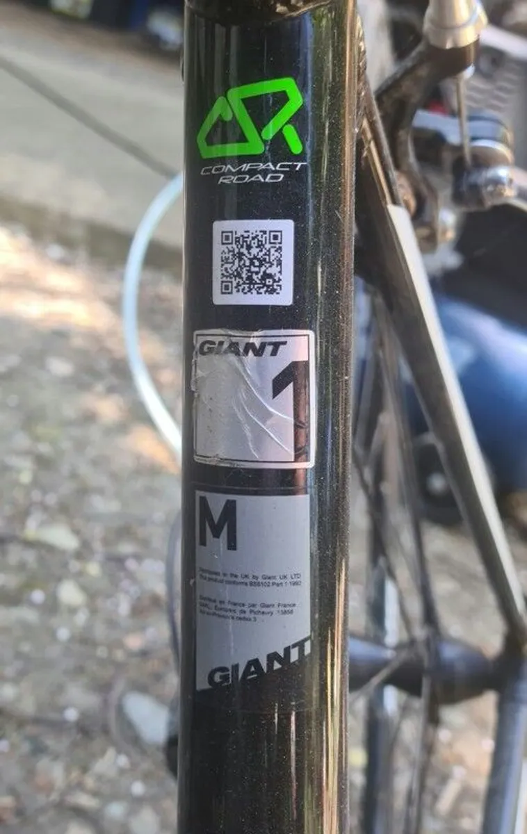 Giant Contend - Image 3