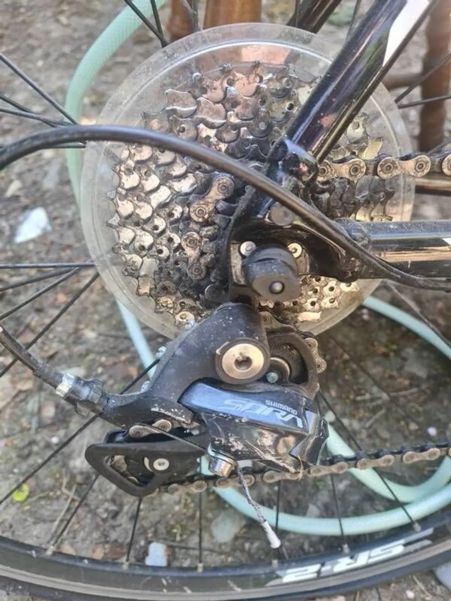 Giant Contend - Image 4