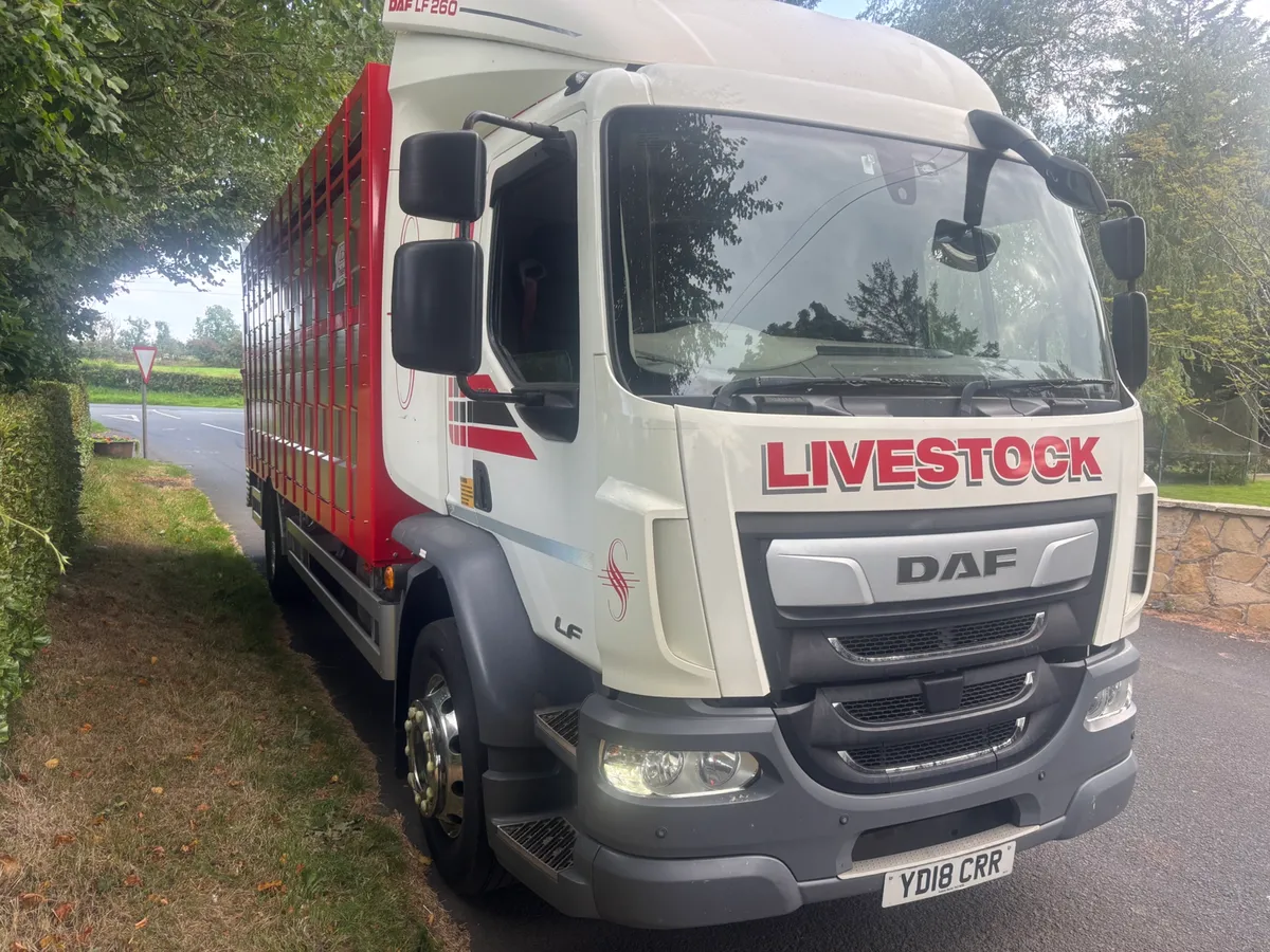 Daf lf 55 260 - Image 3