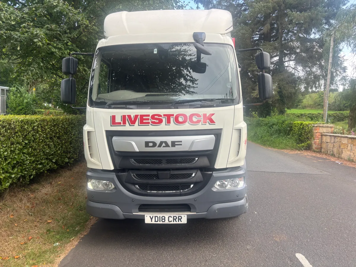 Daf lf 55 260 - Image 4