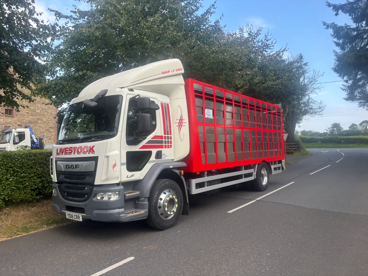 Daf lf 55 260 - Image 1