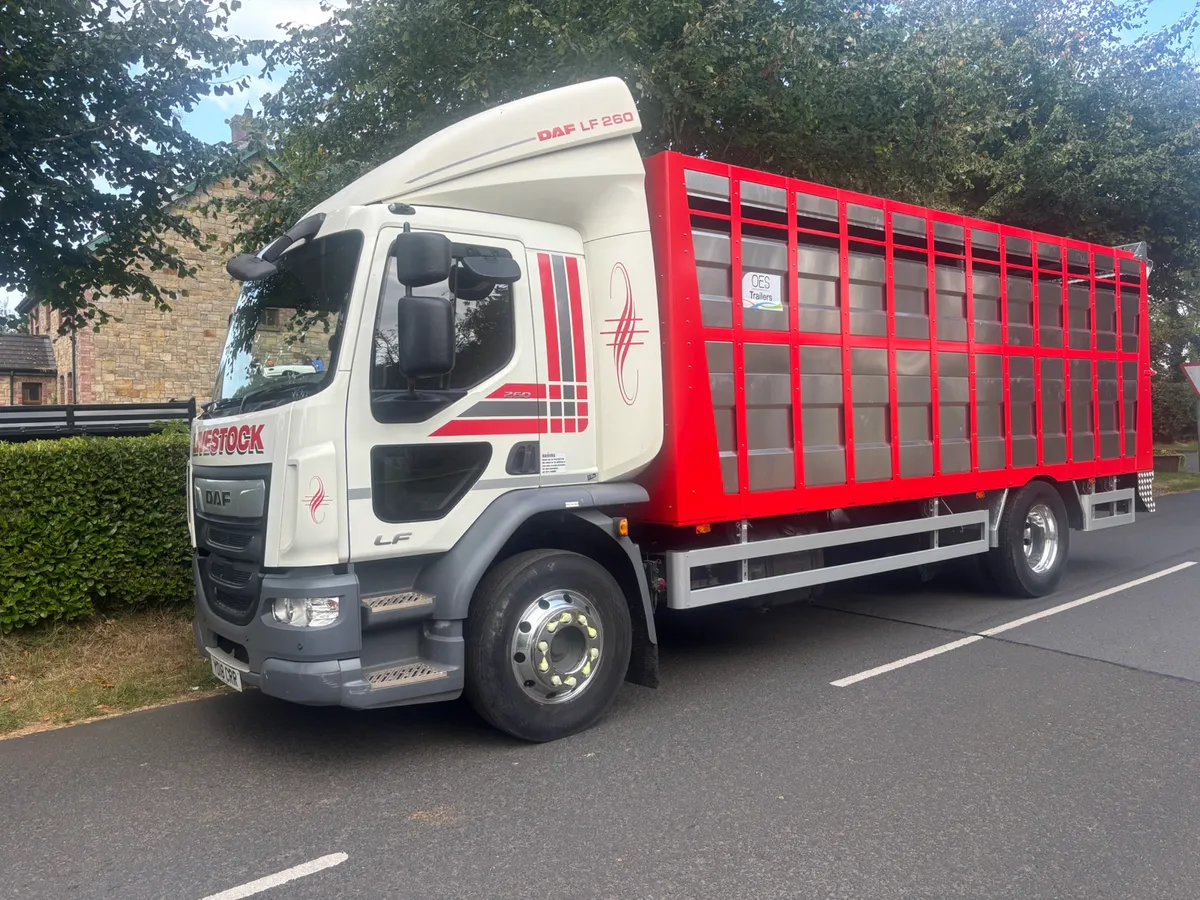 Daf lf 55 260 - Image 2