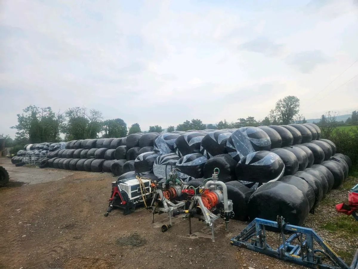 Bales pf silage - Image 1