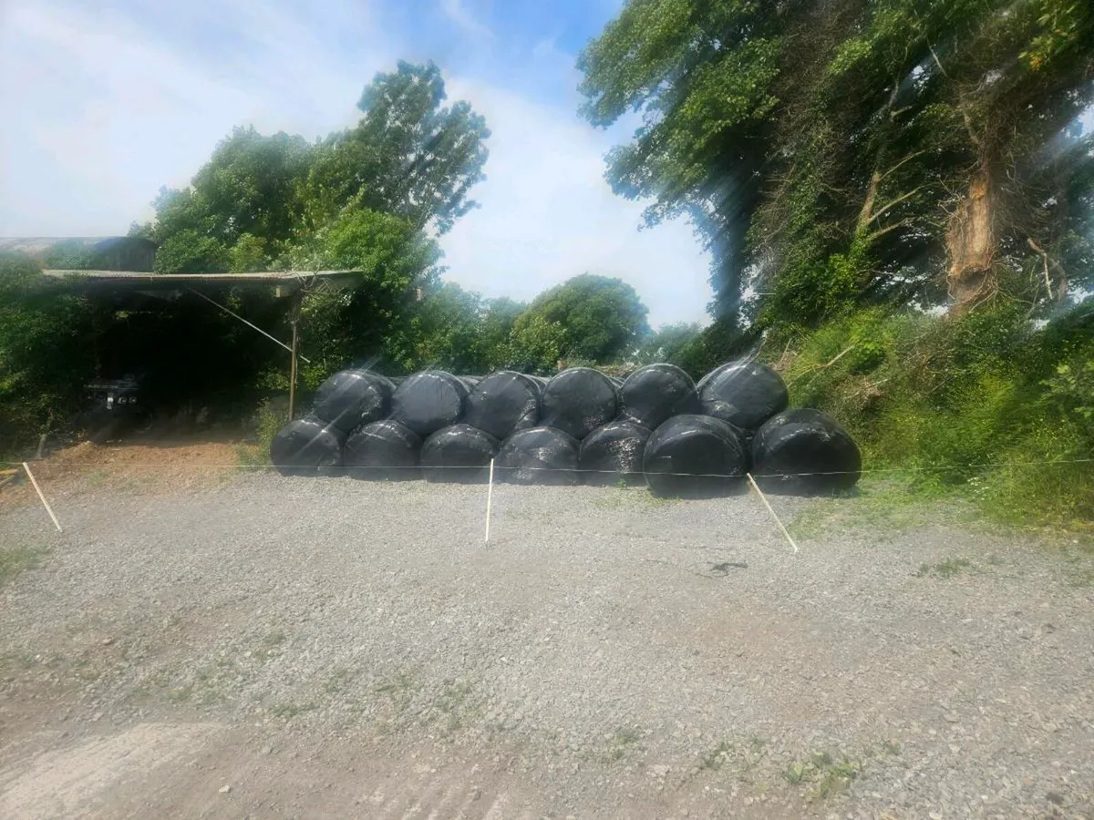 Bales pf silage - Image 2