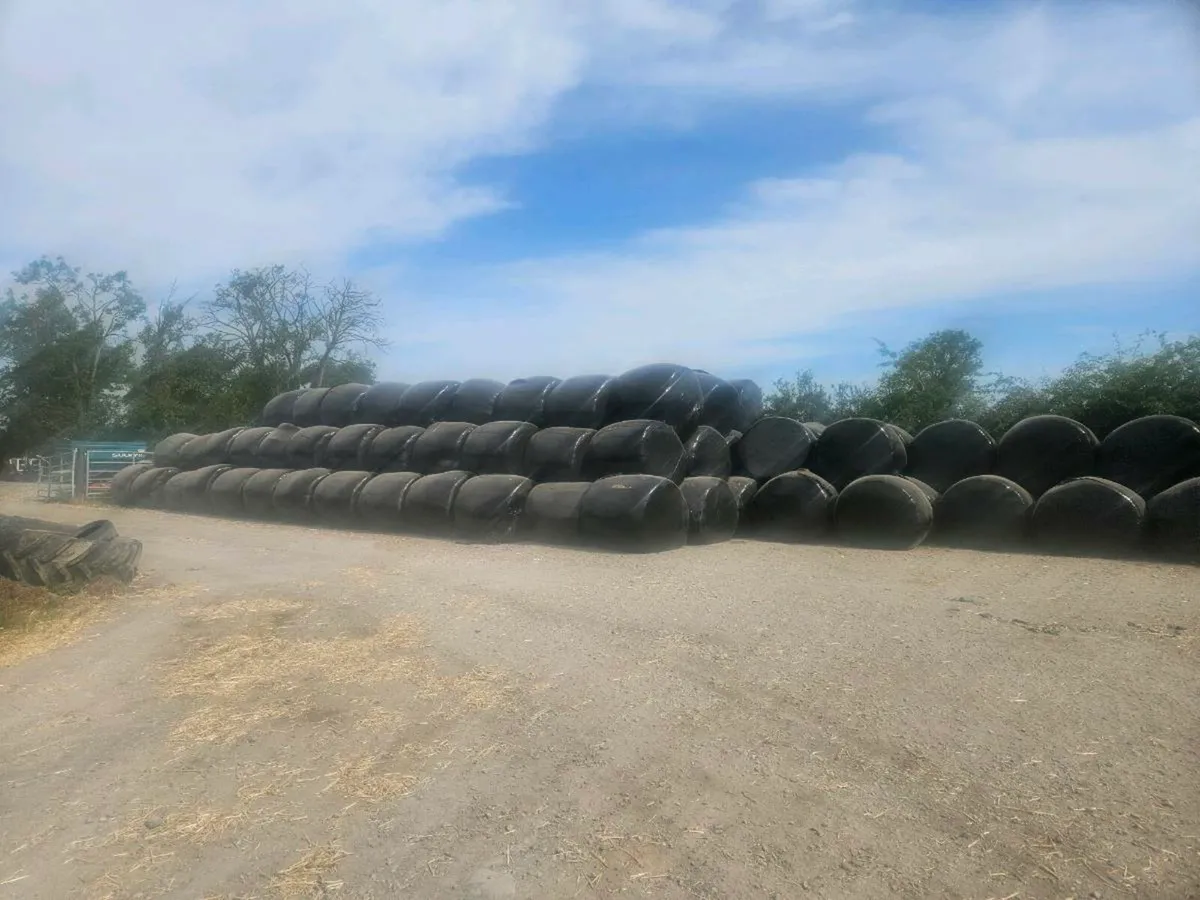 Bales pf silage - Image 3